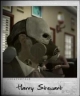 Harry Stewart